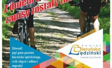 Powiat na piątkę - plakat