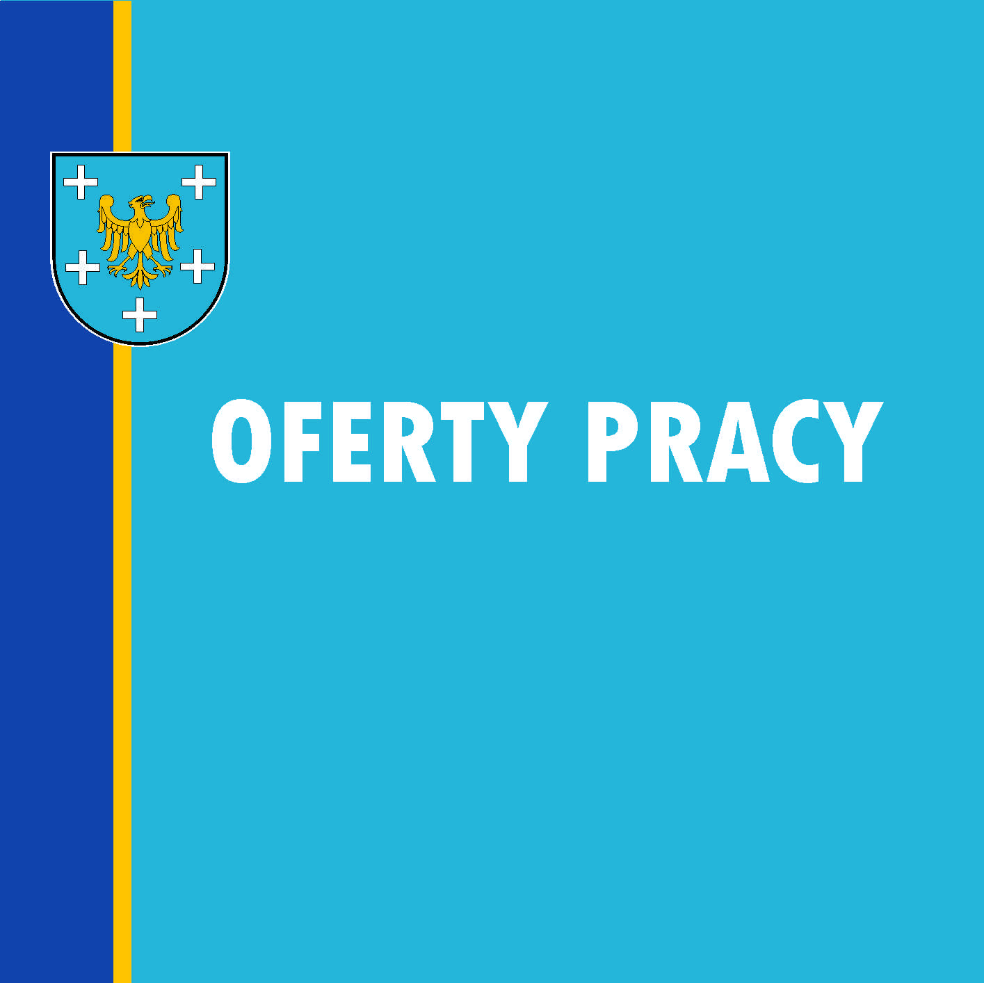 Oferta Pracy