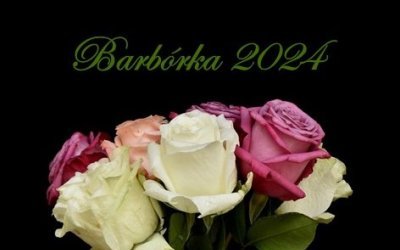 NIECH ŻYJE NAM GÓRNICZY STAN!