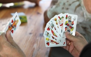 Zdjęcia z pikniku z okazji 25-lecia Powiatu Bieruńsko-Lędzińskiego (8)
