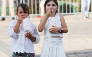 Zdjęcia z pikniku z okazji 25-lecia Powiatu Bieruńsko-Lędzińskiego (6)