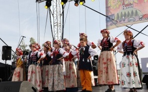 Zdjęcia z pikniku z okazji 25-lecia Powiatu Bieruńsko-Lędzińskiego (6)