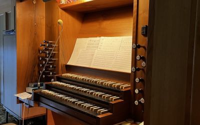Jesienna lekcja organowa (12)