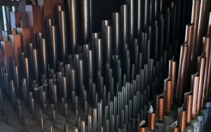 Jesienna lekcja organowa (9)